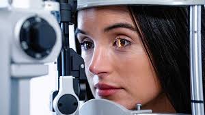 Media Articles & Publications