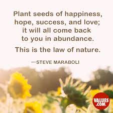 Plant Seeds Of Happiness Hope Success And Love It Will All Come Back To You In Abundance This Is The Law Of Nature Steve Maraboli Passiton Com
