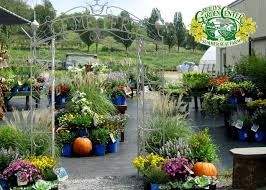 A Spooky Cemetery Arch Welcomes You Into The Fall Perennial Section Fall Perennials Perennials Garden Center