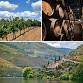 Iberian Adventure Tasting with Lunch (Harrogate)