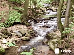 Hd wallpapers and background images. Fahrradtour Am Pfingstmontag Zum Brocken Steemit