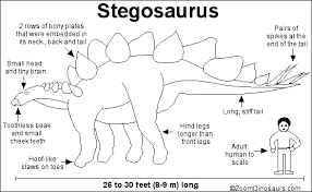 A small slender quadrupedal herbivore, it could have reared up on its hind legs in some circumstances. Stegosaurus Dinosaur Enchanted Learning Software Dinosaur Pictures Stegosaurus Super Coloring Pages