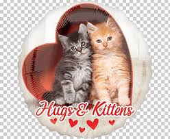 Hopefully one day this face will be making people laugh with my videos. Cat Kitten Valentine S Day Balloon Felidae Png Clipart Free Png Download