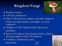 Classification Of Living Things Ppt Download