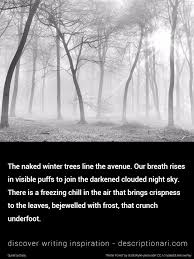 A Description Of Winter Writing Prompts Fantasy Creative Writing Writing Prompts Funny