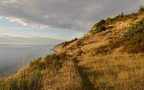 For panoramic views of the olympic mountains and strait of juan de fuca, visit fort ebey state park. Fort Ebey State Park Whidbey And Camano Islands