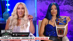 Uncle sam wijsvinger, we willen je, arm, kunst png. Smackdown Women S Championship Match Made Official For Wwe Tlc