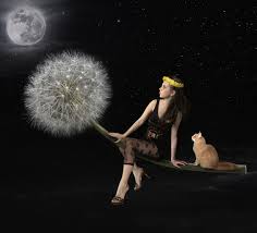 Weitere ideen zu desktop hintergrund kostenlos, desktop hintergrund, kunstzeichnungen. Fotos Katze Madchens Mond Kreative Taraxacum Nacht Tiere