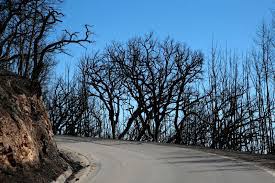 Jun 09, 2021 · catorze concelhos dos distritos de faro, portalegre, castelo branco e santarém apresentam hoje risco máximo de incêndio, segundo dados do instituto português do mar e da atmosfera (ipma). Autoridades Atentas A Reacendimentos No Incendio De Monchique Portimao Atualidade Sapo 24