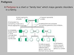 Human Inheritance Genetic Disorders