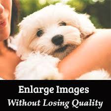 How To Resize An Image In Photoshop Without Losing Quality How To Resize And Make Images Larger Without Losing Quality Photoshop Help Image How To Make