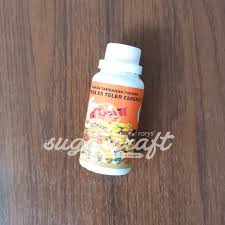 Jual Pasta Perisa Kue Ny Liem Es Teler Jakarta Barat Sugarcraft Tokopedia