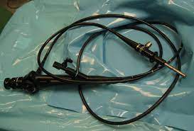 Cystoscopy Bladder Infection Causes Bladder Tissue Types
