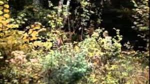 Na plátně to ale stálo za to. Zemrel Reziser Jiri Krejcik