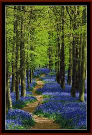 See more ideas about blue bonnets, texas bluebonnets, embroidery patterns. Bluebell Path Counted Cross Stitch Pattern Cross Stitch Cross Stitch Cross Stitch Patterns Cross Stitch Charts X Stitch Cross Stitch Collectibles