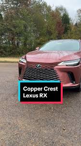 Image result for Copper Crest 2024 RZ