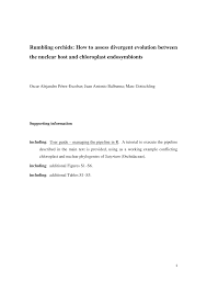 Image result for Satyrium sphaeranthum