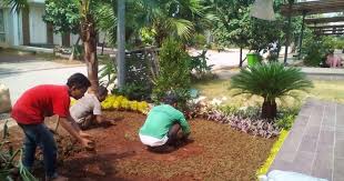 Tukang Taman Murah Taman Minimalis Taman Kering Taman Asri Taman Kolam Halaman Belakang Taman Pondok