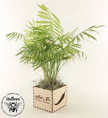 Life is a gift and it offers us the privilege, opportunity, and responsibility to give something back by becoming more. Custom Personalized Wood Planter Palm Money Tree Succulent Aftcra