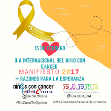 El cáncer infantil solo se cura con más investigación, porque sin fondos, los niños se mueren. 15 De Febrero Dia Internacional Del Nino Con Cancer Transformar La Escuela
