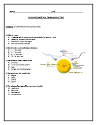 Image result for Growth Assessment