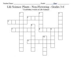 We did not find results for: Science Crossword Puzzle 3 To 6 Grades Life Science Non Flowering Plants