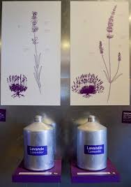 Nous vous souhaitons un très beau dimanche de pâques ! Guide To Lavender In Provence Curious Provence