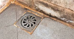 How To Get Rid Of Black Mold Anywhere In Your Shower Shower Mold Shower Drain Black Mold In Shower