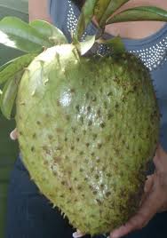 Pin On Trini Food Other Caribbean Food I Love