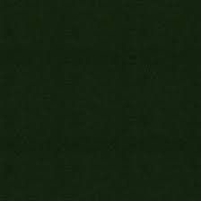 Image result for Hunter Green 1995 Chrysler