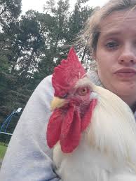 Here's what happened: Just after dinner one night, my son came up to tell  me there was “something wrong” with one of the two lizards he holds  prisoner in his room. “He's