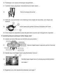 Pin Di Kelas Enam