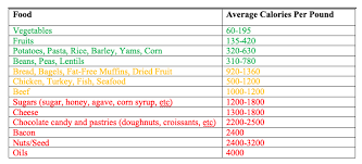 Day 21 Eat More Weigh Less