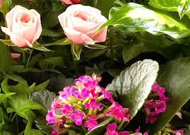 Don't see your favorite business? Florists