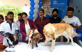M's mobile pet vet is a mobile veterinary practice providing affordable, convenient, healthy pet care to the lake wylie, sc area. All Equipped Pet Mobile Clinic Brings Services To Your Doorstep