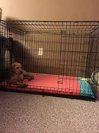 Best dog crates for truck beds in 2020 #bestdogcratesfortruckbeds #dogcrates #dogcrates2020 we have put up more than 63 hours of research in finding the. Diy Dog Crate Bed I Used A Full Size Foam Mattress Pad And 2 Yards Of Fabric Dog Crate Pads Dog Training Diy Dog Crate