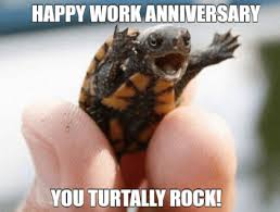 Happy anniversary you poor husband. 40 Happy Work Anniversary Meme Work Anniversary Meme Work Anniversary Anniversary Meme