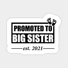 Terdapat banyak pilihan penyedia file pada halaman tersebut. Promoted To Big Sister 2021 Soon To Be Sister Promoted To Bigsister 2021 To Be Sister Magnet Teepublic