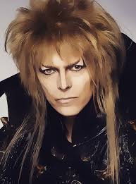 Photo by Mina Jiménez (@minajimeneza) · January 23, 2026