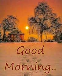 So you can also make someone's morning happy by sending lovely good. New Good Morning Images Download For Whtatsapp Pictures Part Timely Com