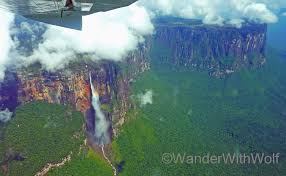 We did not find results for: Venezuela Expedition Zum Salto Angel Wander With Wolf