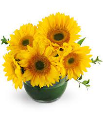 Check spelling or type a new query. Florist S Choice Daily Deal San Mateo Ca Florist