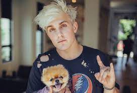 In 2017, he and his team rented a large house in beverly grove. How Much Money Jake Paul Makes On Youtube Net Worth Naibuzz