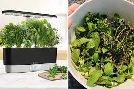 Having an aerogarden is amazing, but if you are new to growing hydroponically it can be a bit overwhelming, so here are some tips to get you so you are either thinking about getting yourself an aerogarden or maybe you picked up one of these babies and now you're wondering what you have. 12 Aerogarden Tips For Beginners