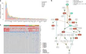 Buscar por número de serie o snid. Genomic Landscape And Chronological Reconstruction Of Driver Events In Multiple Myeloma Nature Communications