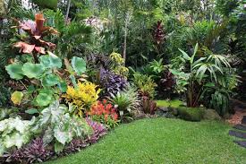 Various Kind Of Tropical Flower Garden Such As Aglaonema And Dieffenbachia Plus Various Kind Of Tropical Jardins Pequenos Belos Jardins Jardinagem E Paisagismo