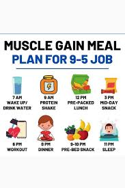 Routine Plan For 9 5 Job Persons In 2020 Muscle Gain Meal Plan How To Plan Healthy Fitness