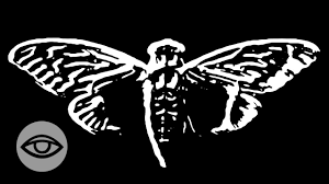 They are in the suborder auchenorrhyncha. Cicada 3301 Internet Ratsel Verspricht Die Erlosung 20 Minuten