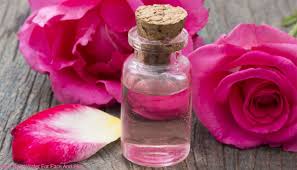 Image result for rose water toner brands