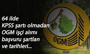 Düzce gençlik ve spor i̇l müdürlüğü. Orman Genel Mudurlugu Personel Alimi Yapacak 64 Sehre Kpss Sartsiz